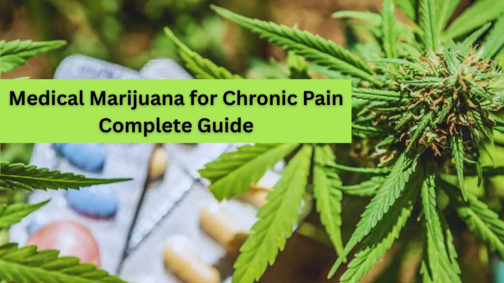 medical marijuana evaluation chronic pain