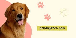 Zendogtech.com Review: What You Need to Know About This New Website